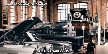 Arabada AVG Ne Demek?