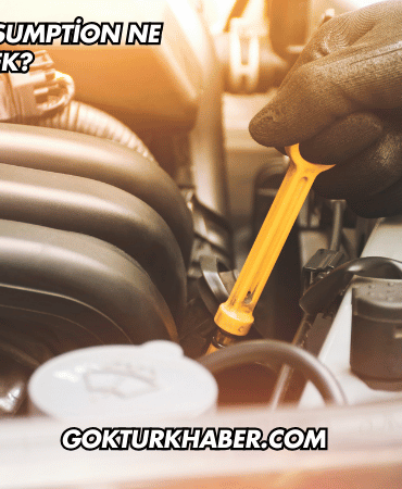 Arabada Consumption Ne Demek?