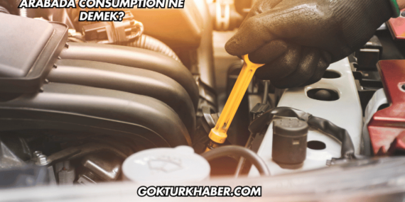 Arabada Consumption Ne Demek?