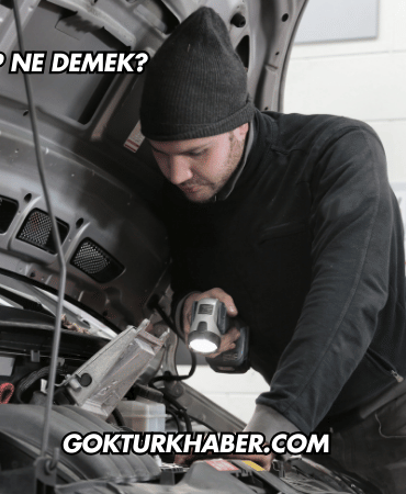 Arabada DISP Ne Demek?