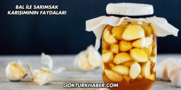 Bal ile Sarımsak Karışımının Faydaları