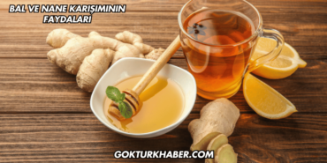Bal ve Nane Karışımının Faydaları