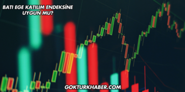 Batı Ege Katılım Endeksine Uygun mu?