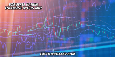 Bor Şeker Katılım Endeksine Uygun mu?