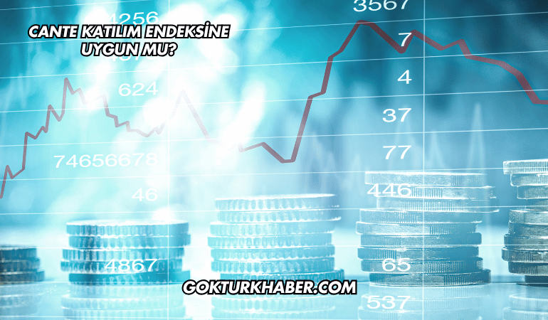 CANTE Katılım Endeksine Uygun mu?