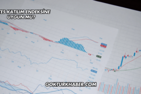 ÇATES Katılım Endeksine Uygun mu?