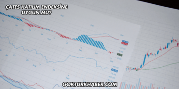 ÇATES Katılım Endeksine Uygun mu?