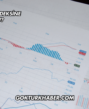 ÇATES Katılım Endeksine Uygun mu?
