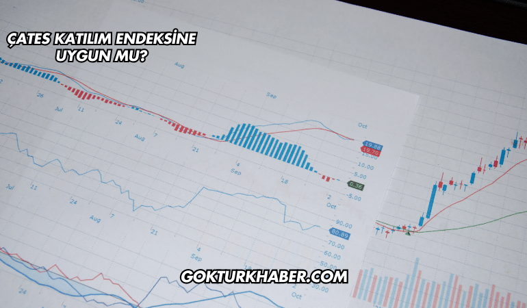 ÇATES Katılım Endeksine Uygun mu?