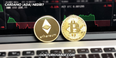 Cardano (ADA) Nedir?