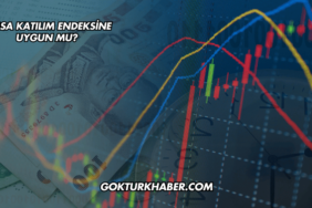 Çimsa Katılım Endeksine Uygun mu?