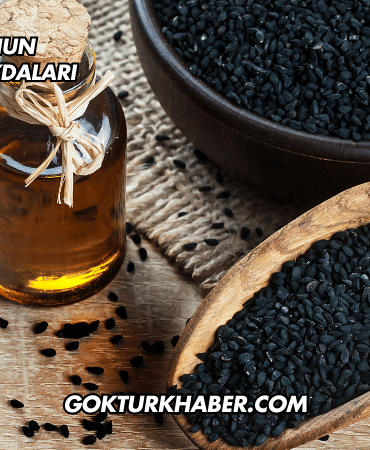 Çörek Otunun Karaciğere Faydaları