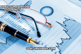 E Bebek Katılım Endeksine Uygun mu?