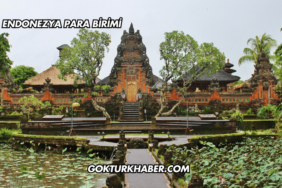 Endonezya Para Birimi