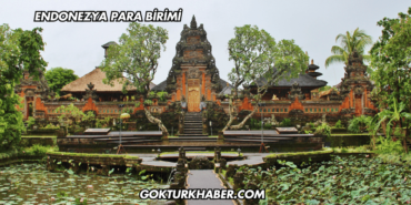 Endonezya Para Birimi