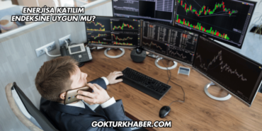 Enerjisa Katılım Endeksine Uygun mu?