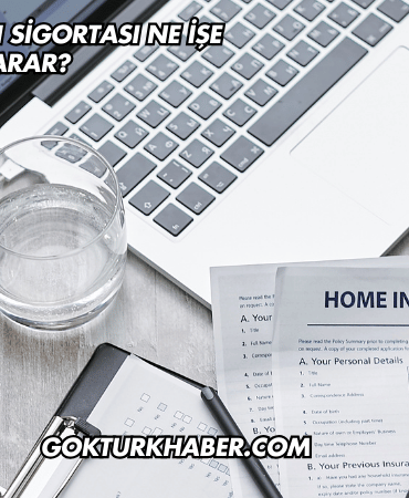 Evcil Hayvan Sigortası Ne İşe Yarar?