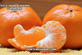 Fazla Mandalinanın Zararları
