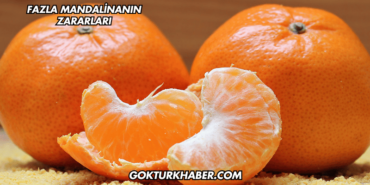 Fazla Mandalinanın Zararları