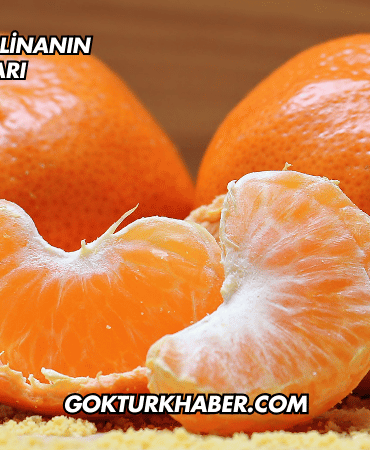 Fazla Mandalinanın Zararları