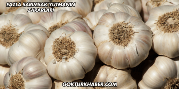 Fazla Sarımsak Yutmanın Zararları