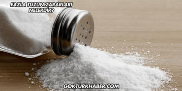 Fazla Tuzun Zararları Nelerdir?