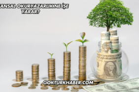 Finansal Okuryazarlık Ne İşe Yarar?