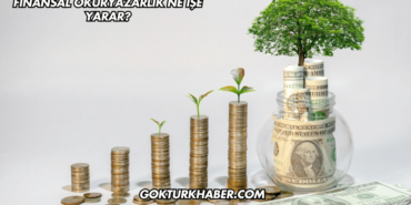 Finansal Okuryazarlık Ne İşe Yarar?