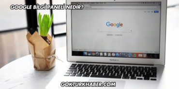 Google Bilgi Paneli Nedir?