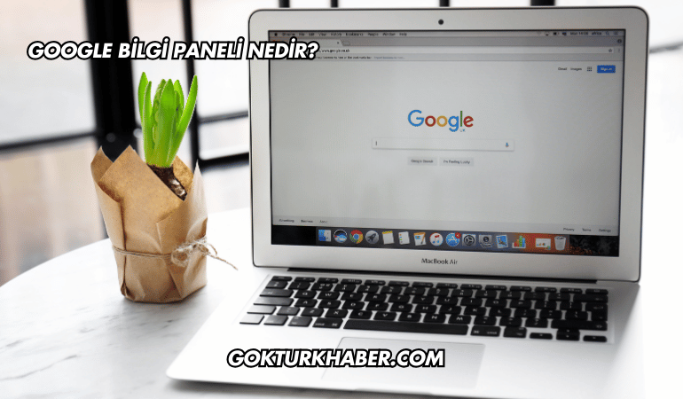 Google Bilgi Paneli Nedir?