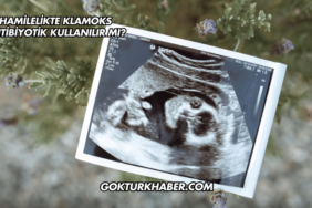Hamilelikte Klamoks Antibiyotik Kullanılır mı?