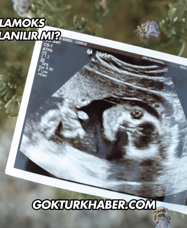 Hamilelikte Klamoks Antibiyotik Kullanılır mı?