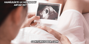 Hamilelikte LH Hormonu Artar mı?