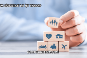 IMM Sigortası Ne İşe Yarar?