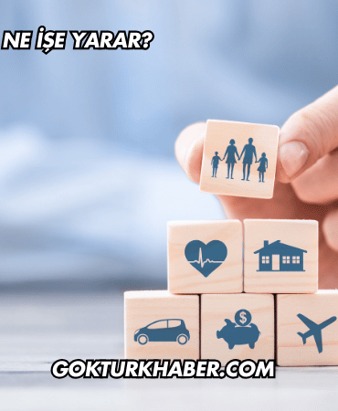 IMM Sigortası Ne İşe Yarar?