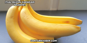 İthal Muzun Zararları Nelerdir?