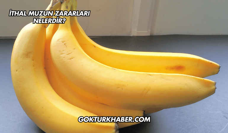 İthal Muzun Zararları Nelerdir?