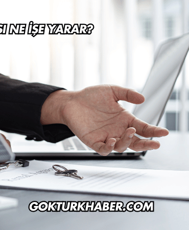 Kasko Sigortası Ne İşe Yarar?