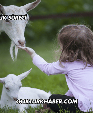 Keçilerde Gebelik Süreci