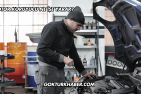 Motor Koruyucu Ne İşe Yarar?