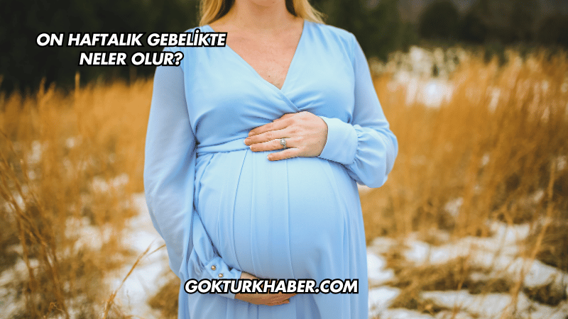 On Haftalık Gebelikte Neler Olur?