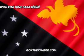 Papua Yeni Gine Para Birimi
