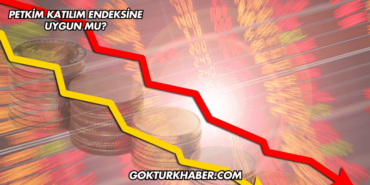 Petkim Katılım Endeksine Uygun mu?