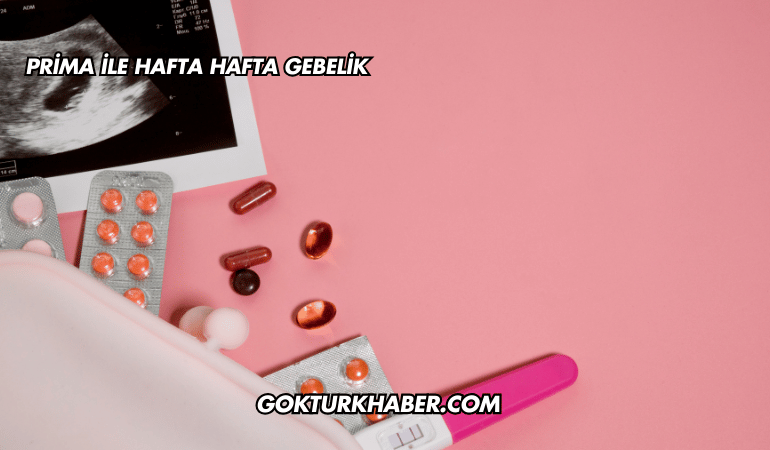 Prima ile Hafta Hafta Gebelik