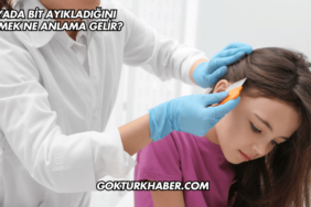 Rüyada Bit Ayıkladığını Görmek Ne Anlama Gelir?