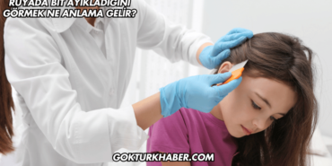 Rüyada Bit Ayıkladığını Görmek Ne Anlama Gelir?