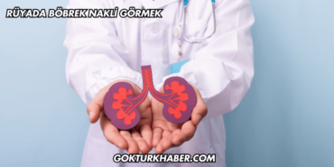 Rüyada Böbrek Nakli Görmek