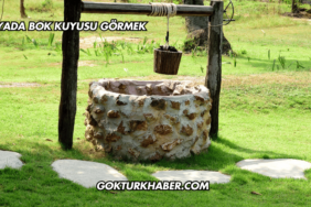 Rüyada Bok Kuyusu Görmek
