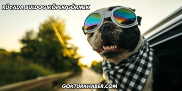 Rüyada Buldog Köpek Görmek