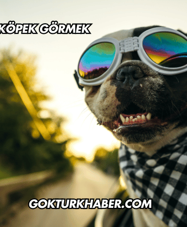 Rüyada Buldog Köpek Görmek